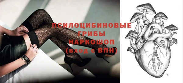 ПСИЛОЦИБИНОВЫЕ ГРИБЫ Абдулино