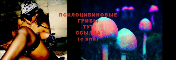 ПСИЛОЦИБИНОВЫЕ ГРИБЫ Абдулино