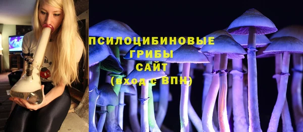 ПСИЛОЦИБИНОВЫЕ ГРИБЫ Абдулино