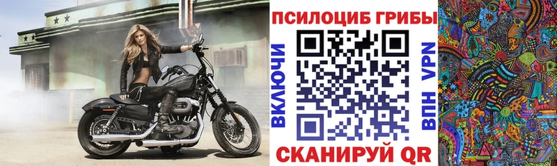 Псилоцибиновые грибы Cubensis  купить наркотик  Североморск 